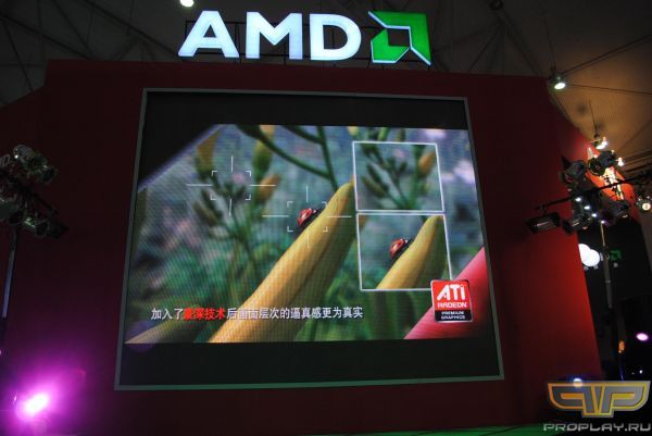    AMD