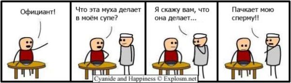     - 16