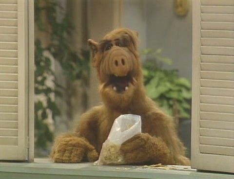 ALF :D