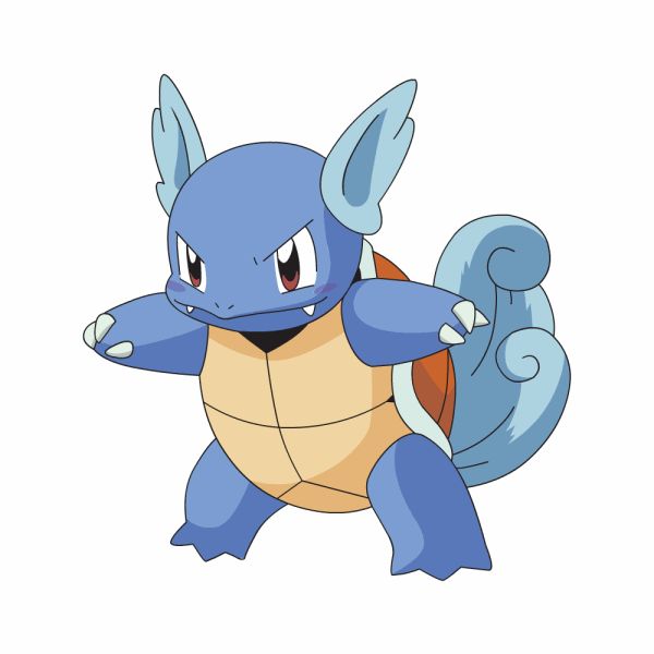 #008: Wartortle