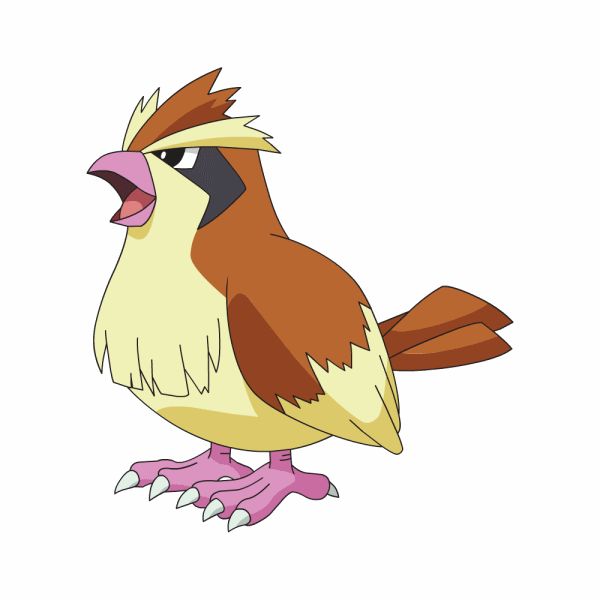 #016: Pidgey