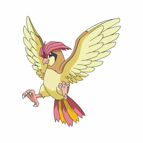 #017: Pidgeotto