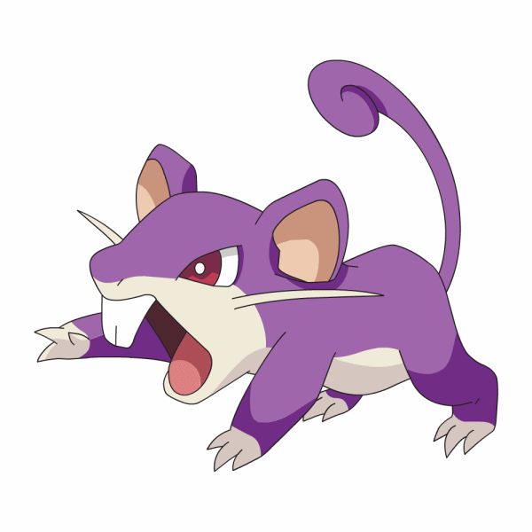 #019: Rattata