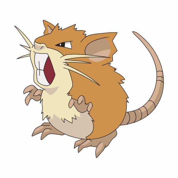 #020: Raticate