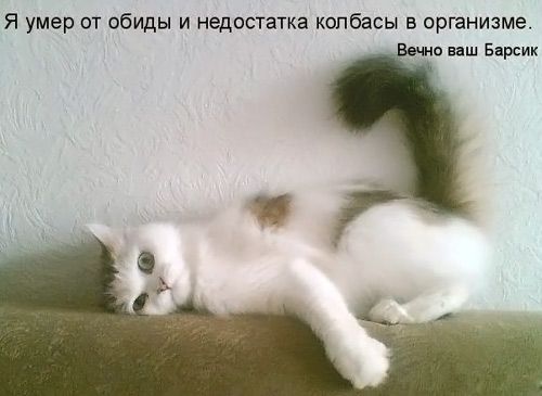 [ ]