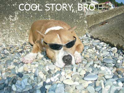 COOL STORY BRO