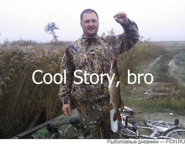 COOL STORY BRO!