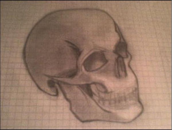 skull