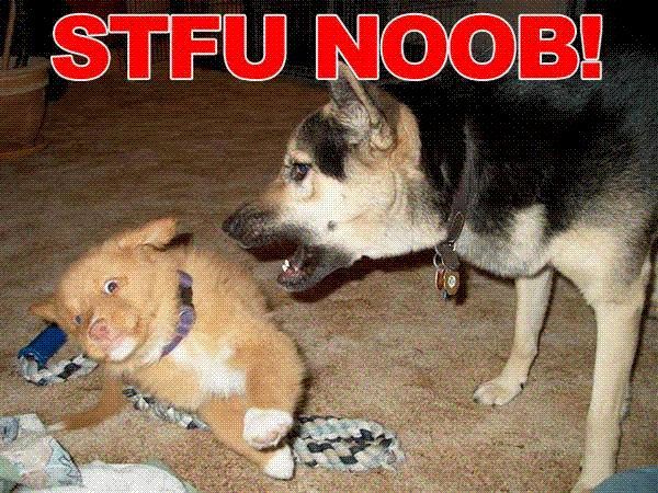 stfu Noob