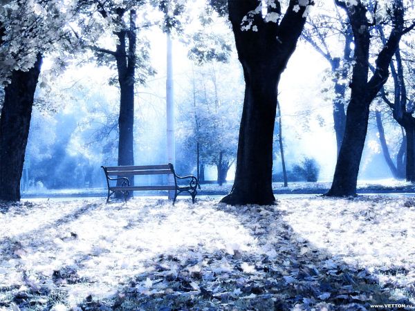 Обои ничетак Обои ничетак