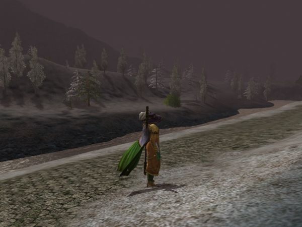 TEST @ Lord of the Rings: Shadows of Angmar #40