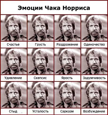 Chuck Norris2