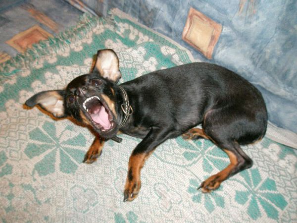 ����������