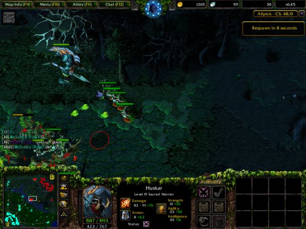 Flying_Huskar 2