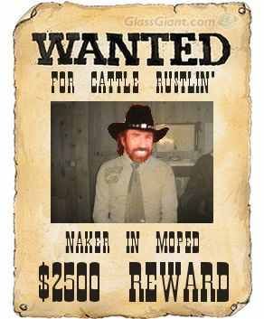 WANTED!
