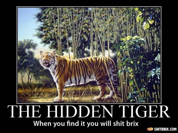 the-hidden-tiger