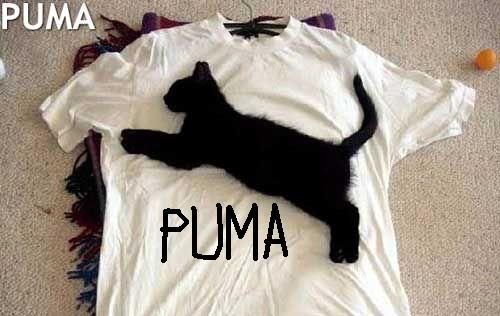 Puma the best!
