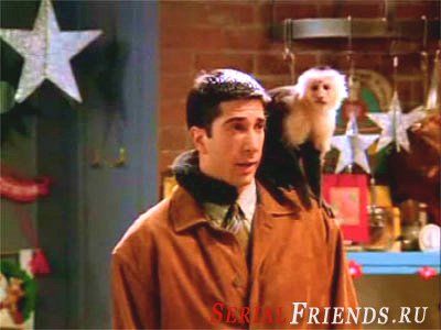  (The Friends) 