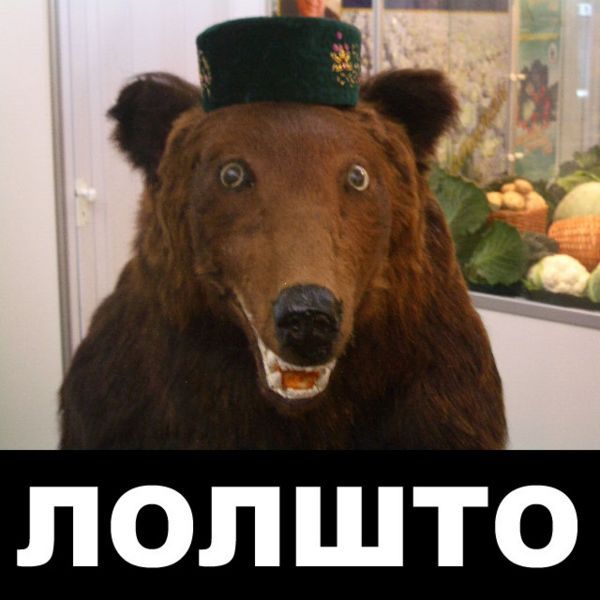 175091_l.jpg
